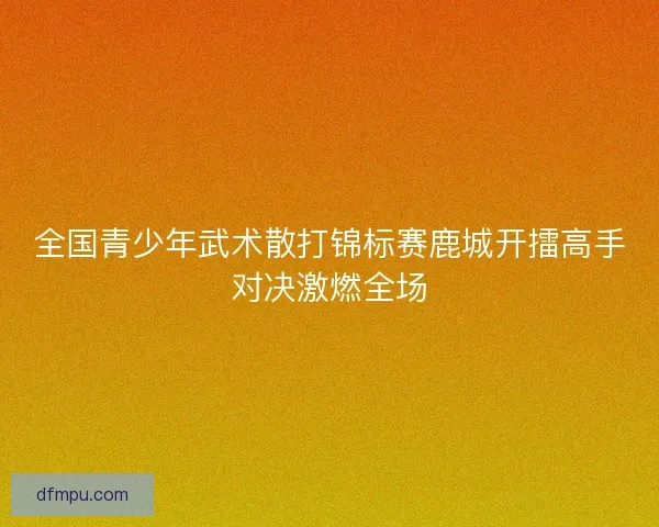 全国青少年武术散打锦标赛鹿城开擂高手对决激燃全场 全国青少年武术散打锦标赛鹿城开擂高手对决激燃全场