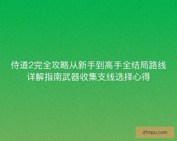 侍道2完全攻略从新手到高手全结局路线详解指南武器收集支线选择心得